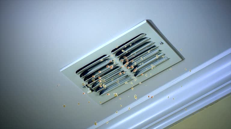 Best HVAC Maintenance and Cleaning  in Shirley, NY