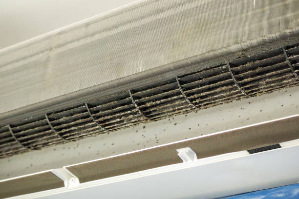 Best Air Duct Cleaning Near Me  in Shirley, NY