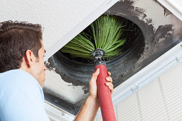 Best Professional Duct Cleaning Services  in Shirley, NY